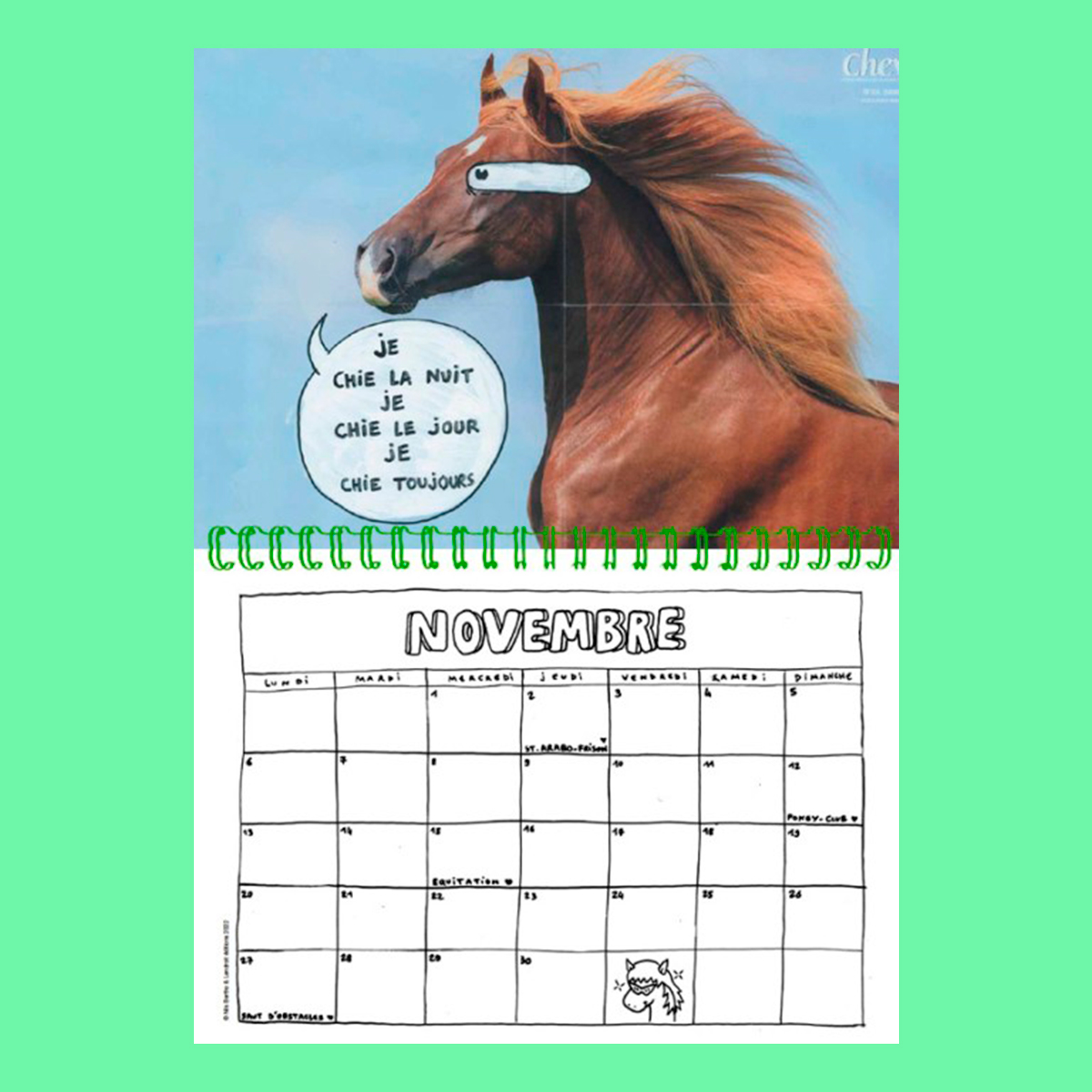Mon calendrier passion chevaux (P.BAC ABANDON): Collectif: 9782809604009:  : Books