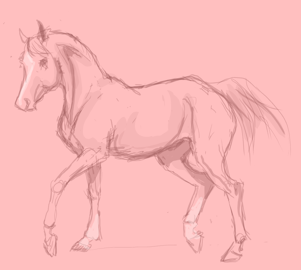 horse pratice 1