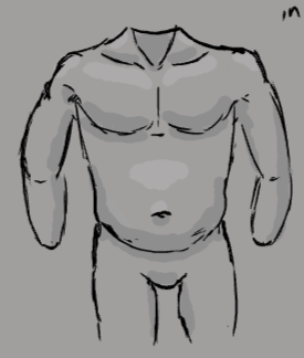 Some anatomy practice