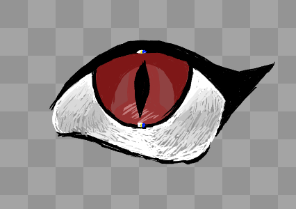 eye