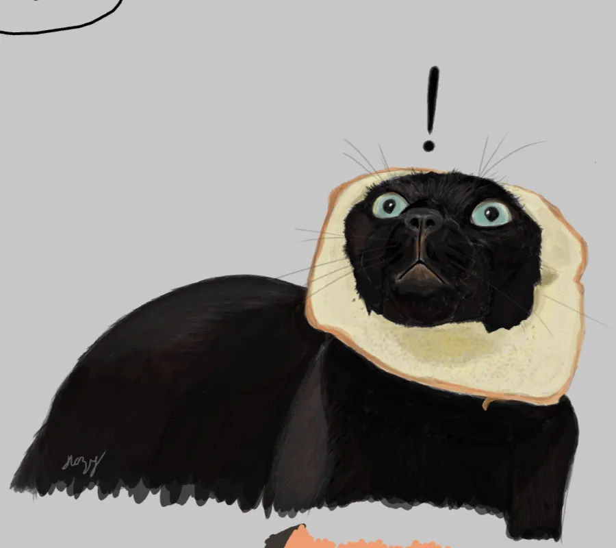 Bread Cat