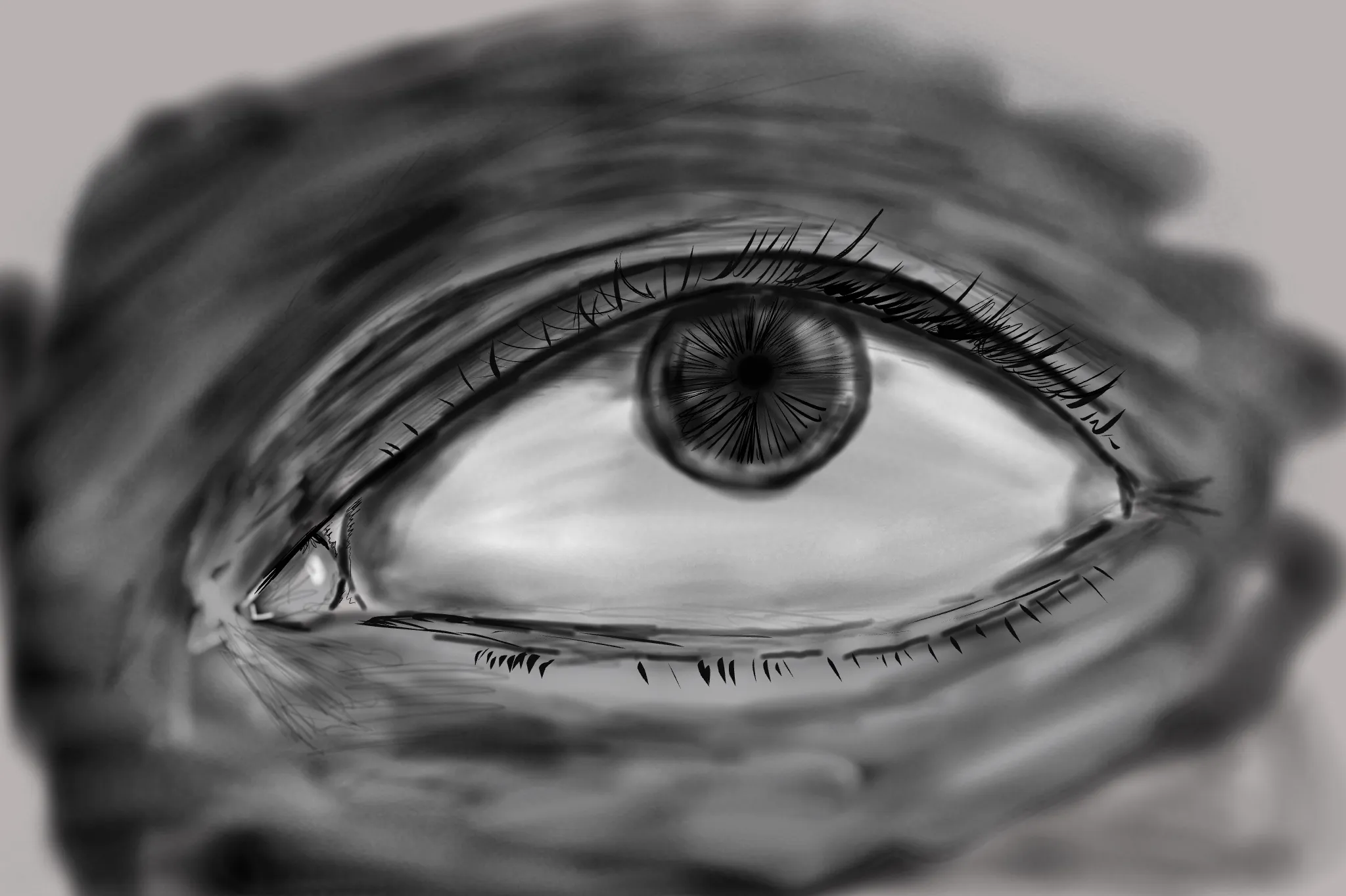 eye