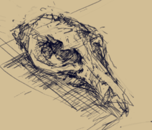Yet another skull scribble