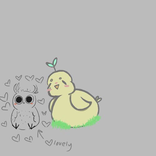 birbs :D