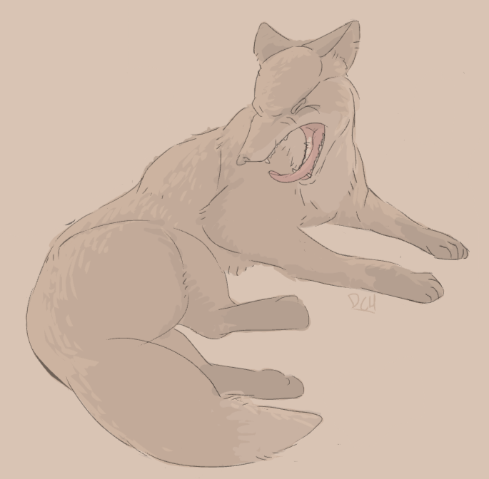 Yawn Fox