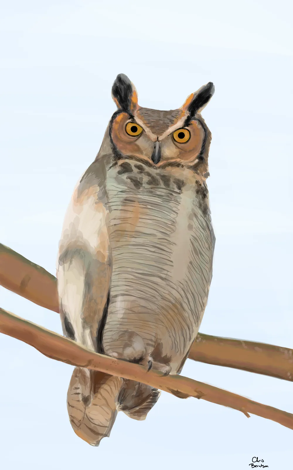 Great Horned Owl