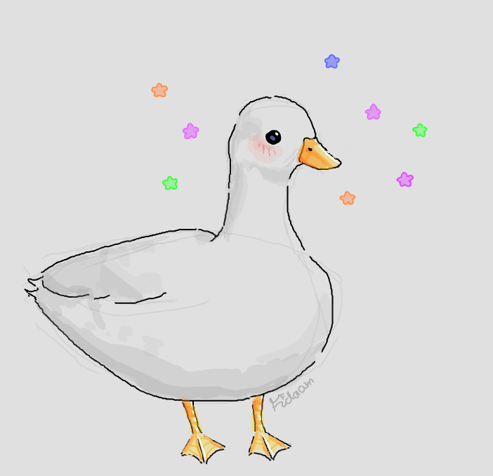 duck