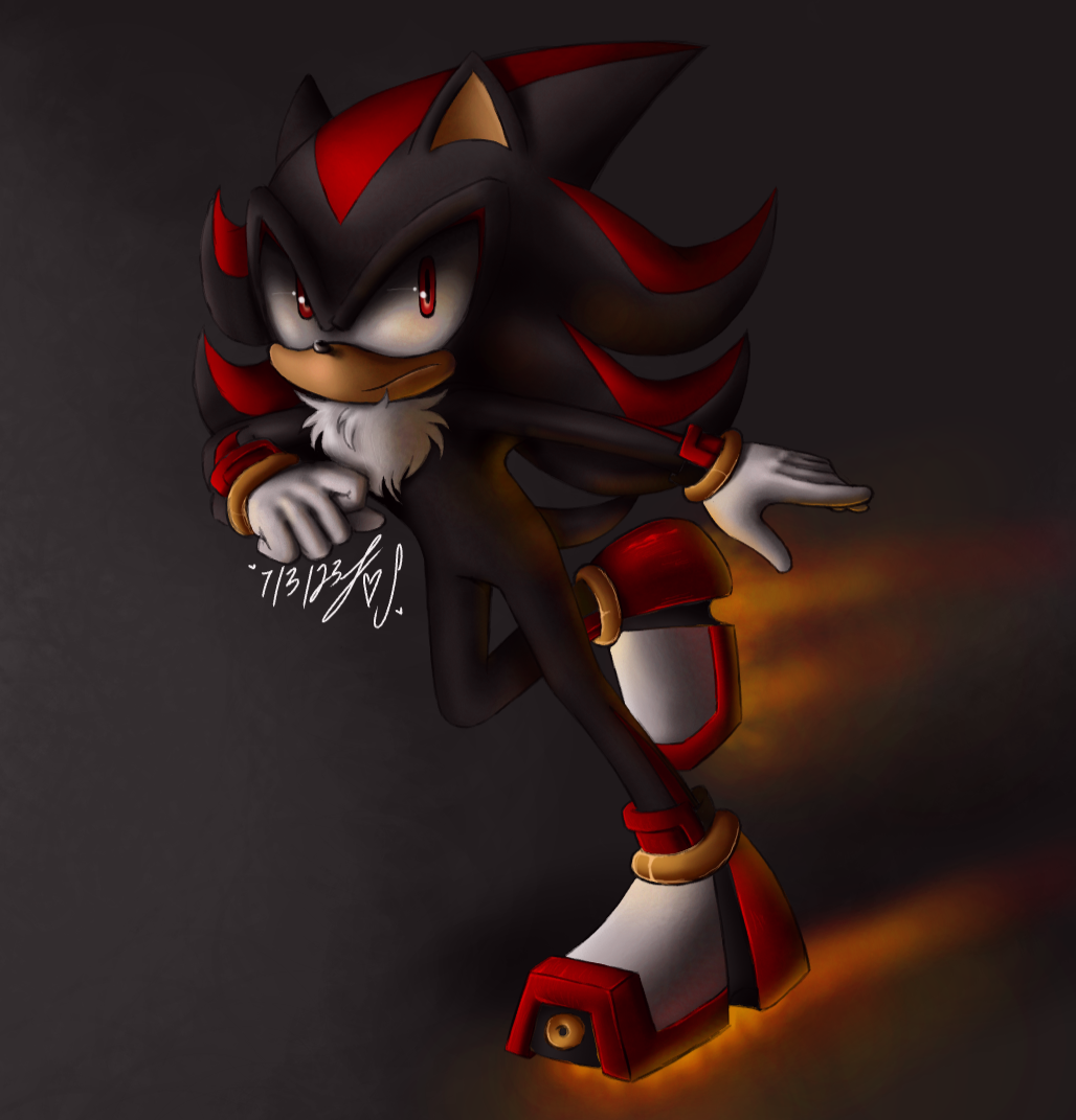 Air Shoes  Shadow the hedgehog, Jet shoes, Shoes