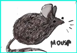 Mousr