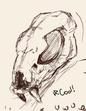 Skull thingyyy