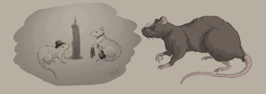 RAts