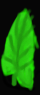 I drew realistic leaf!