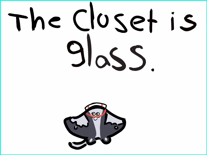 the closet is glass