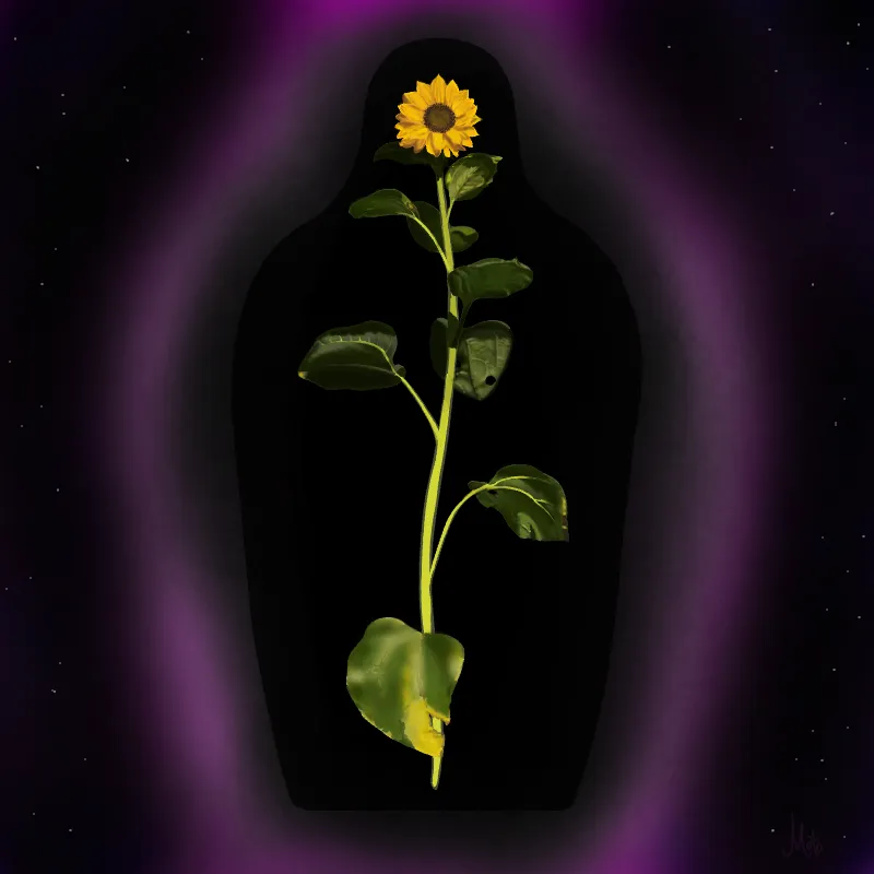 Cosmic Sunflower