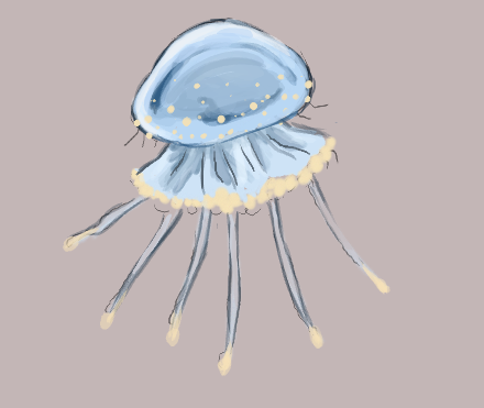 Jellyfish<3