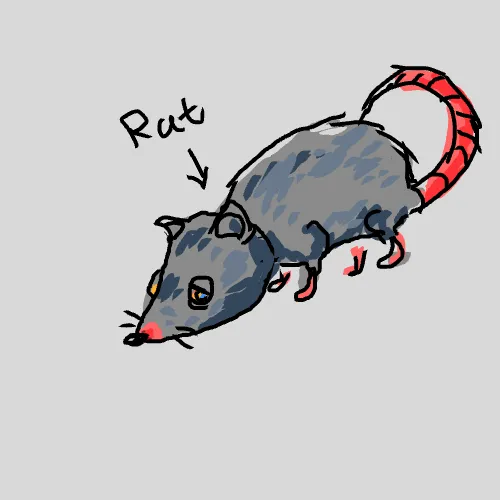 RAT