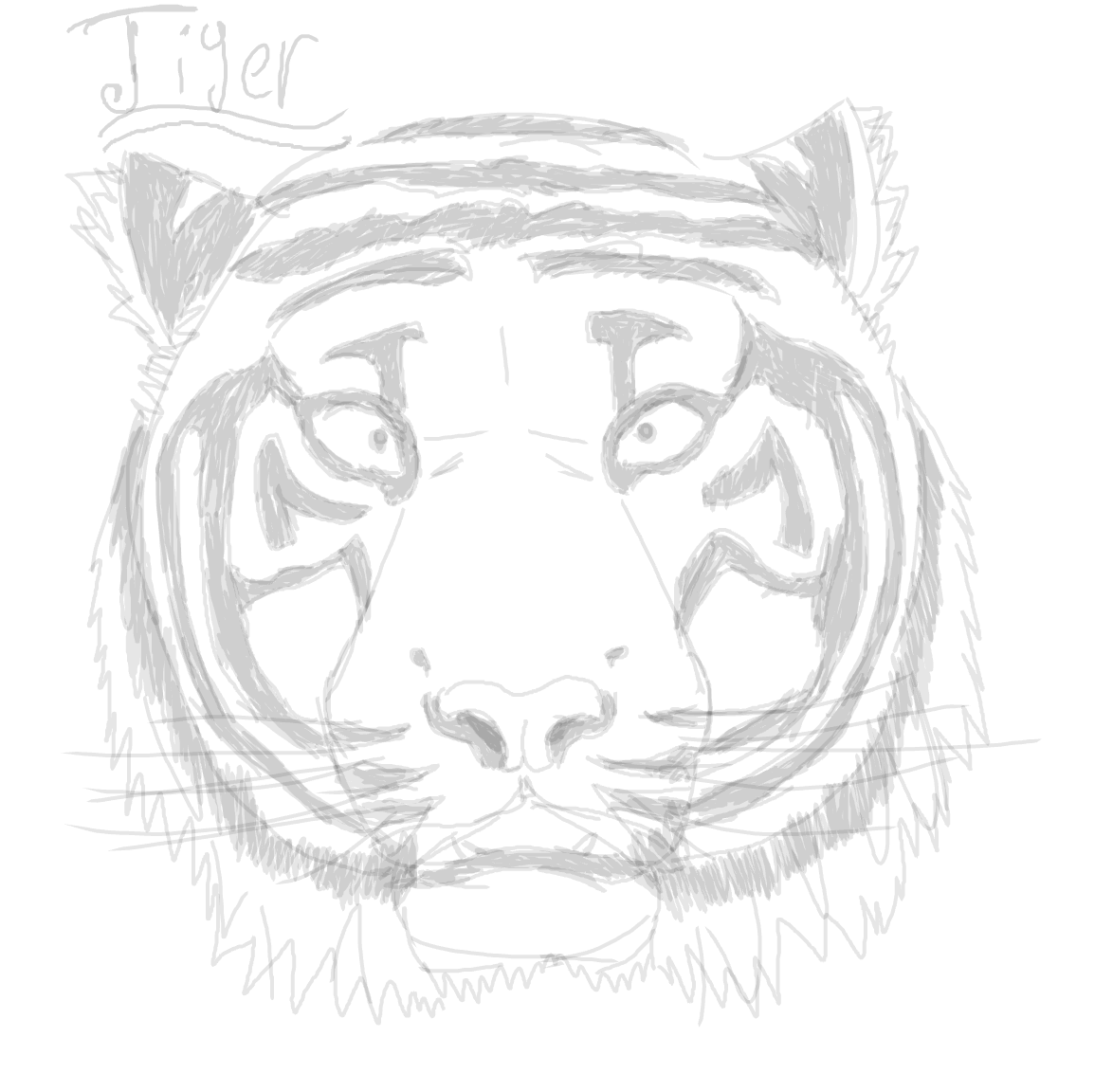 First post(tiger)