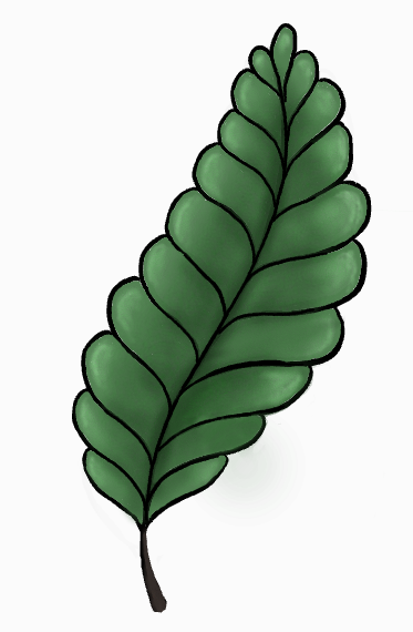 Leaf n1