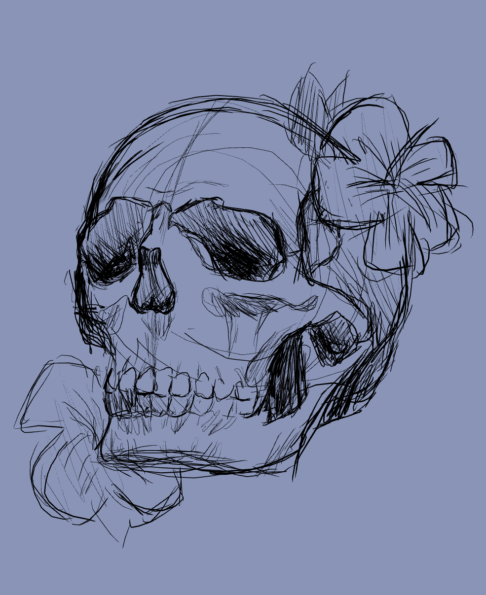 Attempt at a skull