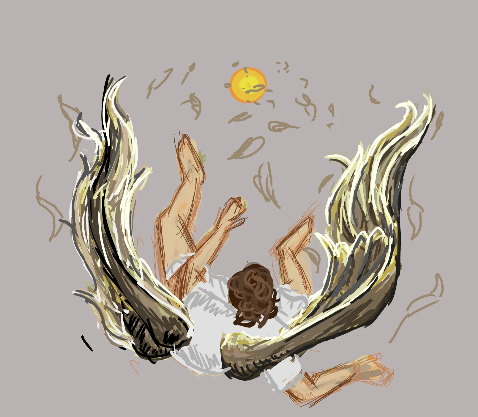 Icarus ig