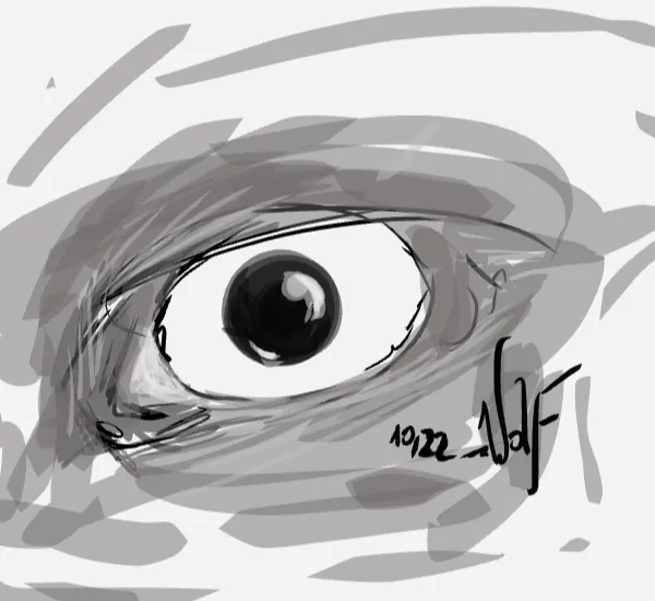 Eye