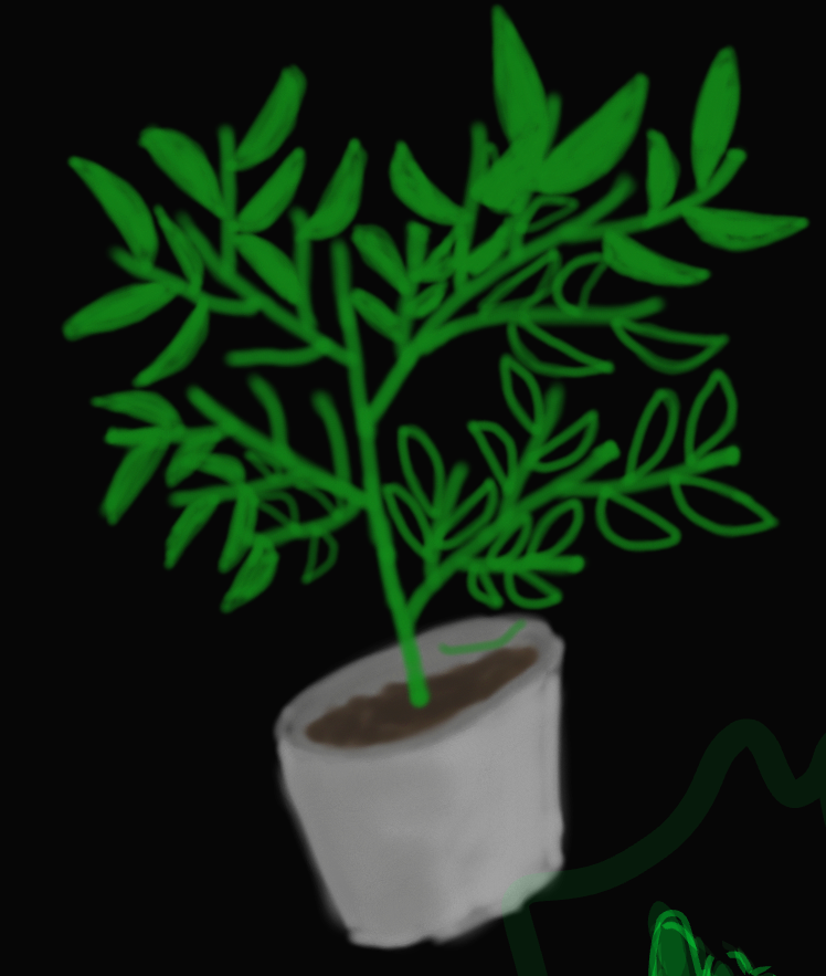 I drew a plant but i never finished it
