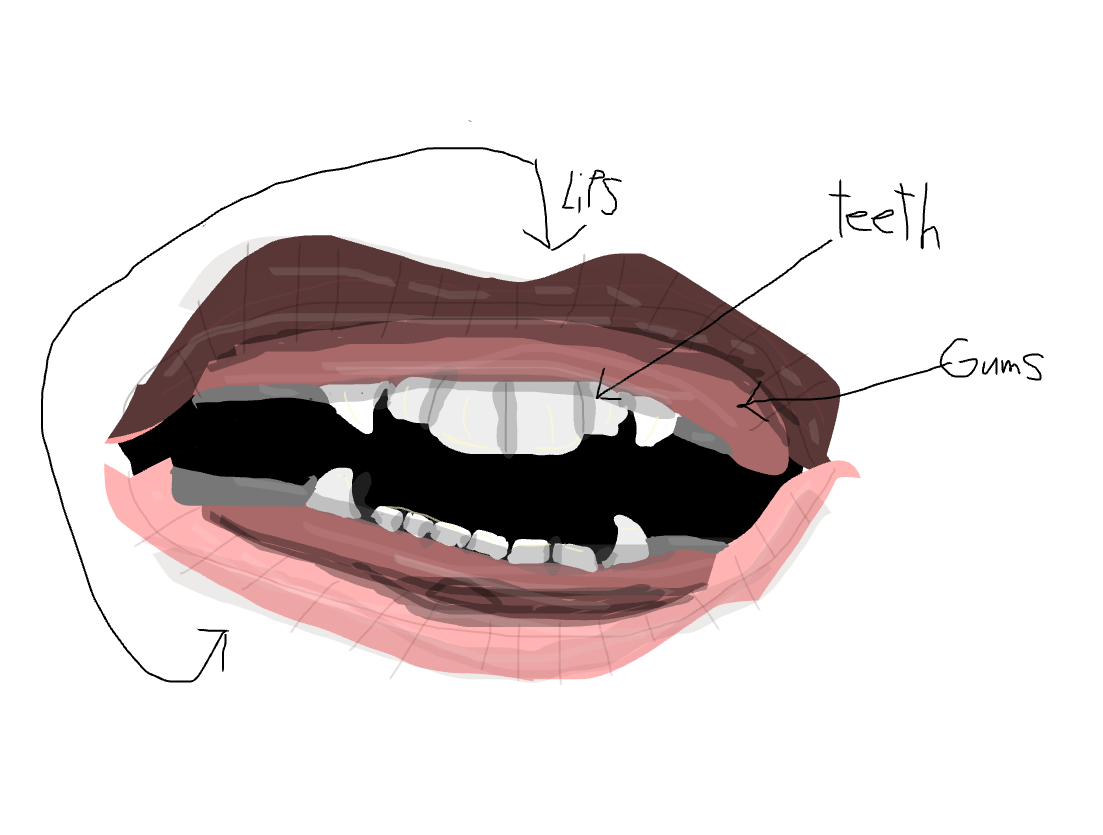 mouth