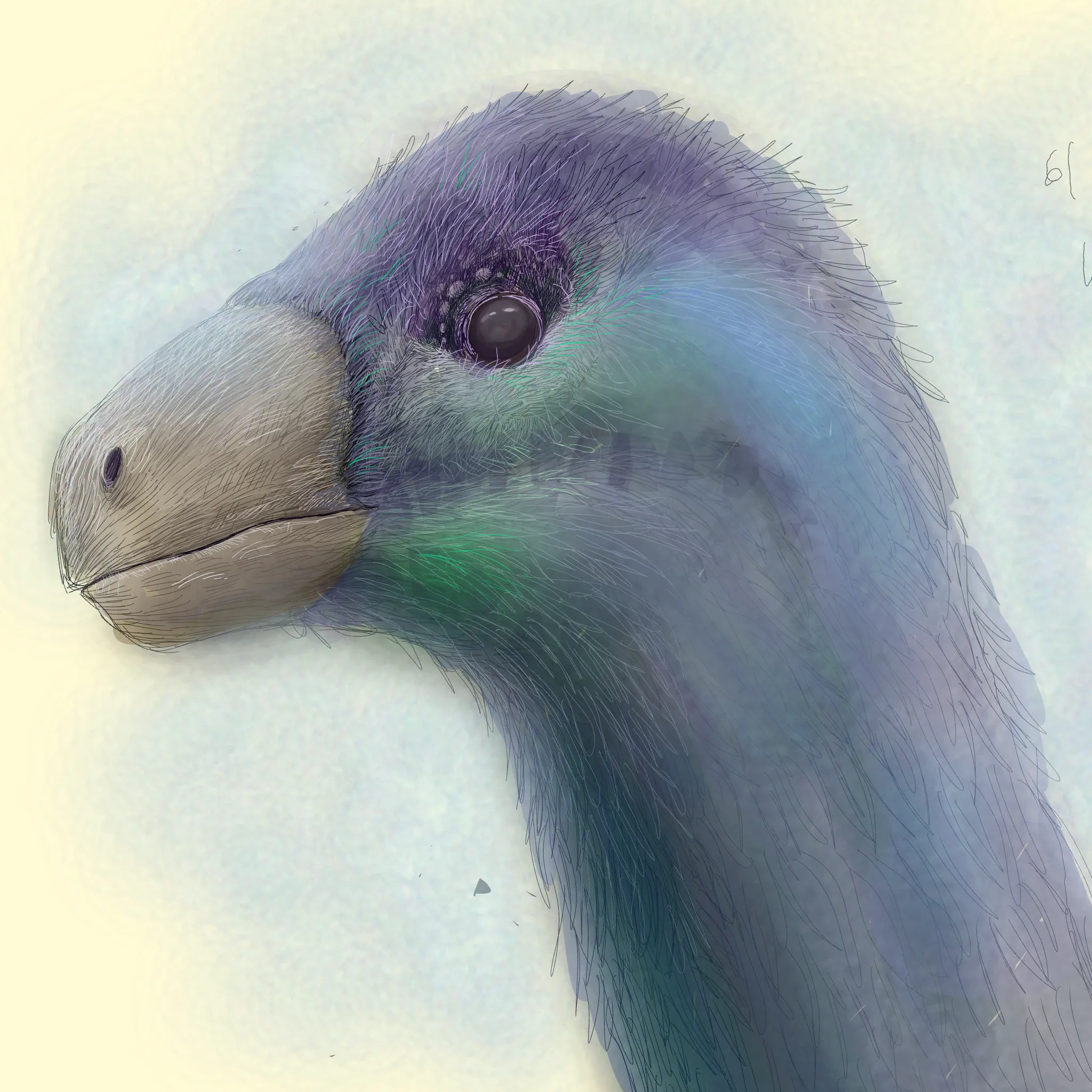 Therizonosaurus Study