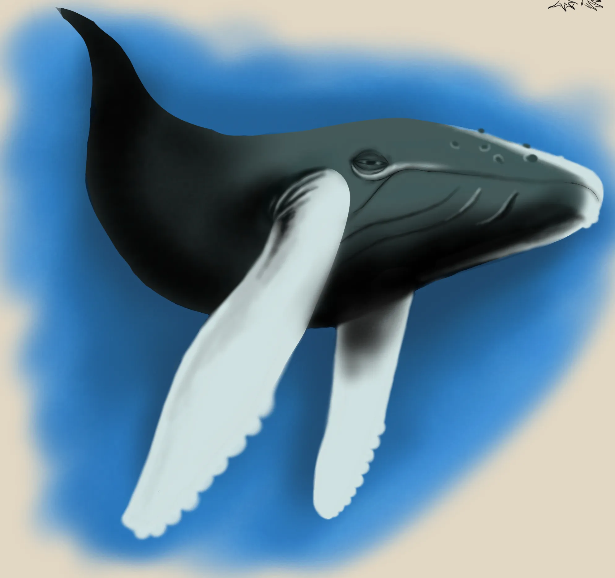 Whale