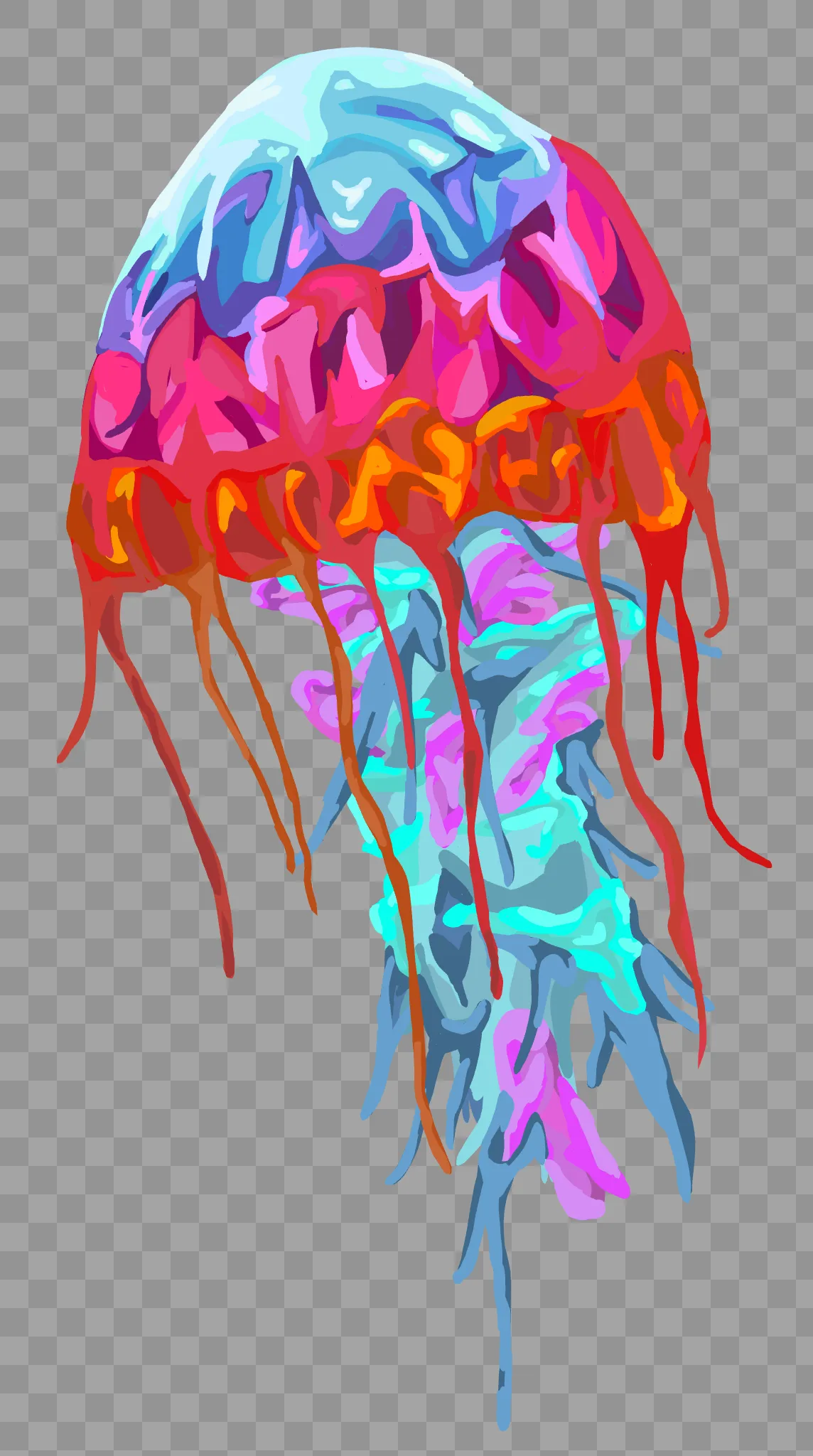 Jellyfish