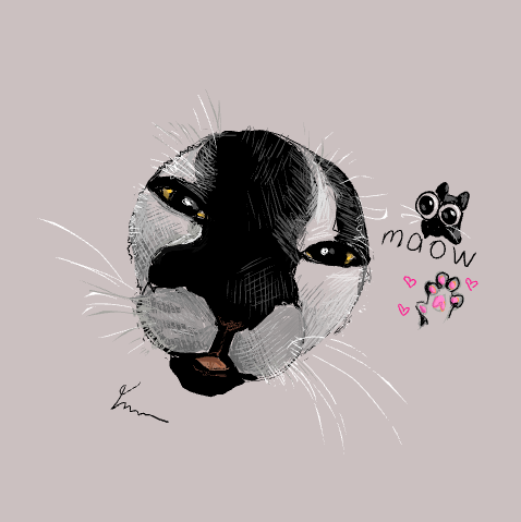 maow