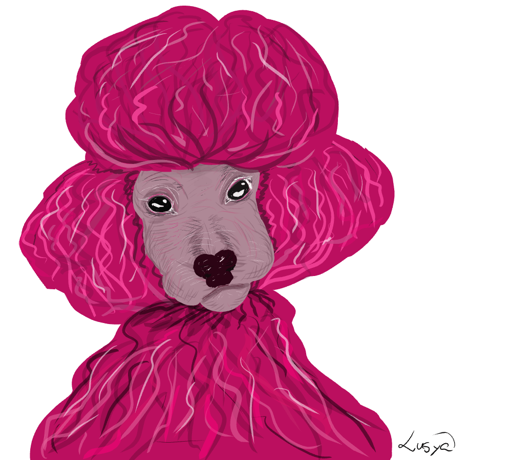 Poodle