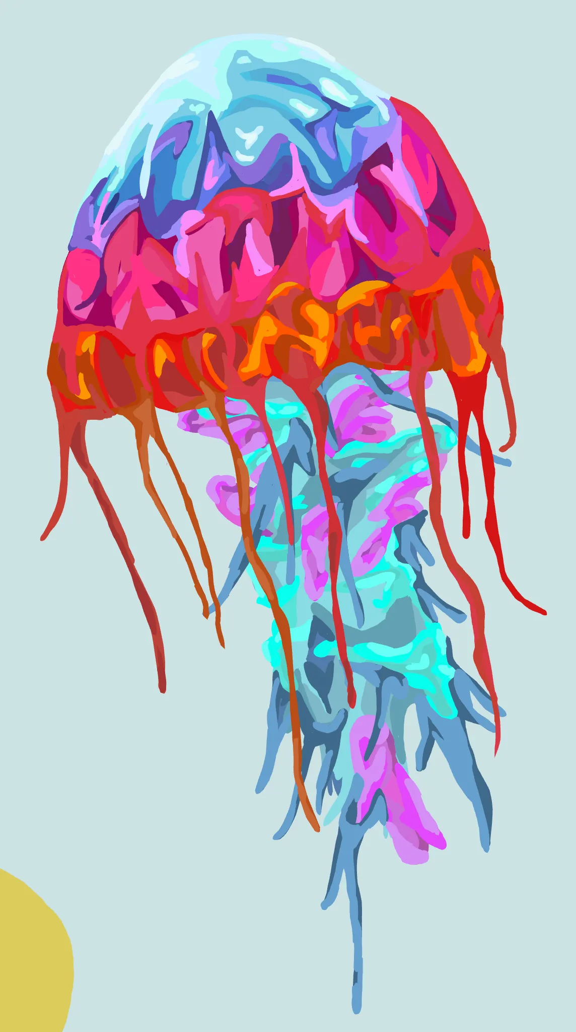 Jellyfish