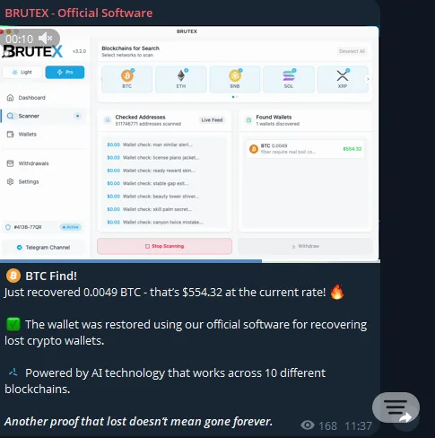 BRUTEX - Official Software: evidence 2 — Fake screenshots showing their program working successfully