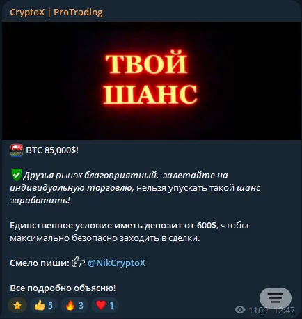 CryptoX – ProTrading: evidence 2 — Promoting a person guaranteeing $1000 per day with a deposit of $2000+, screenshot 1 of 2