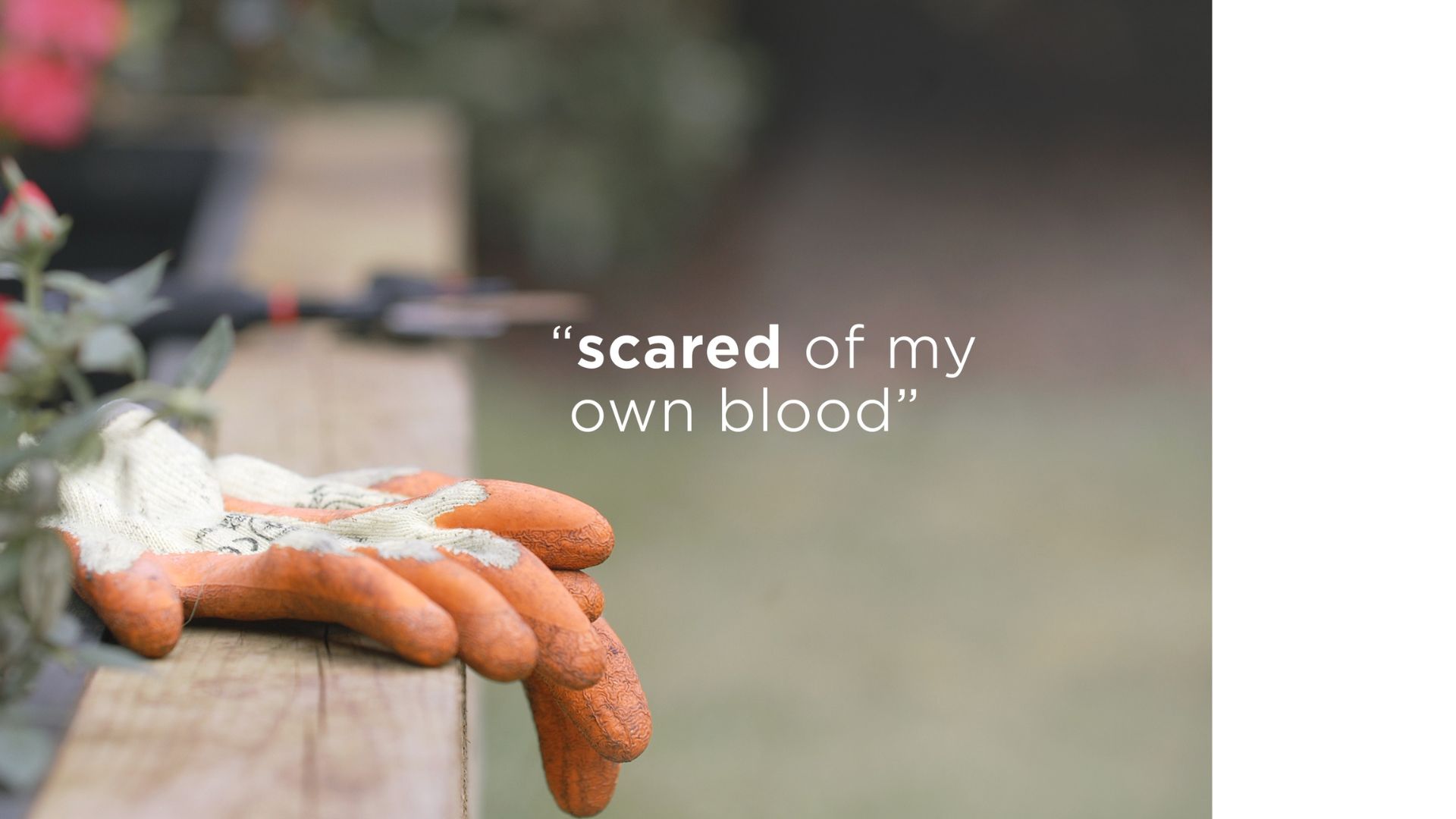 Presentation slide from Infected Blood Inquiry Reflections event