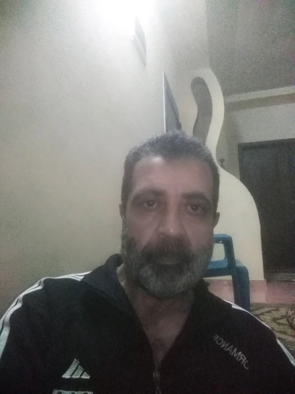 محمد المقداد