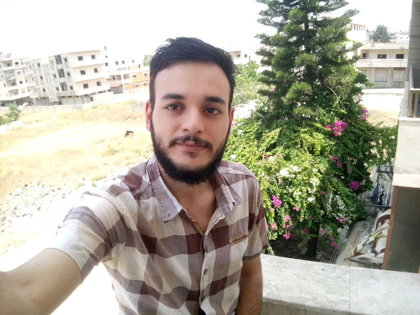 نضال