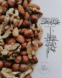 فؤاد خضر