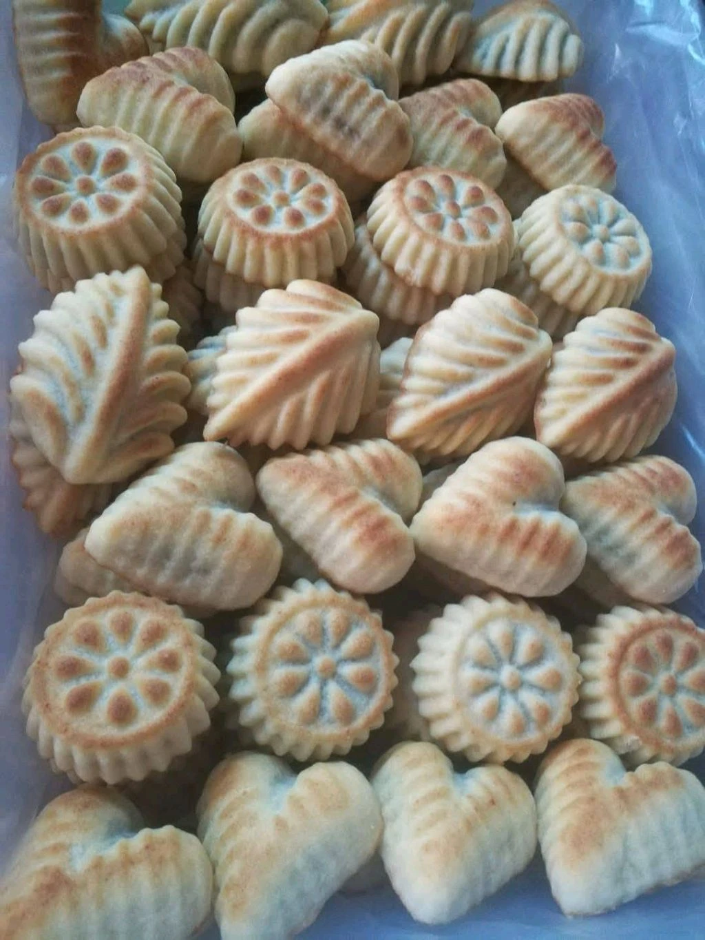 وعد ادريس
