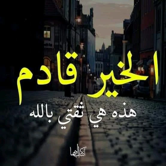 سامر منصور