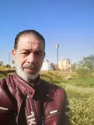 مأمون
