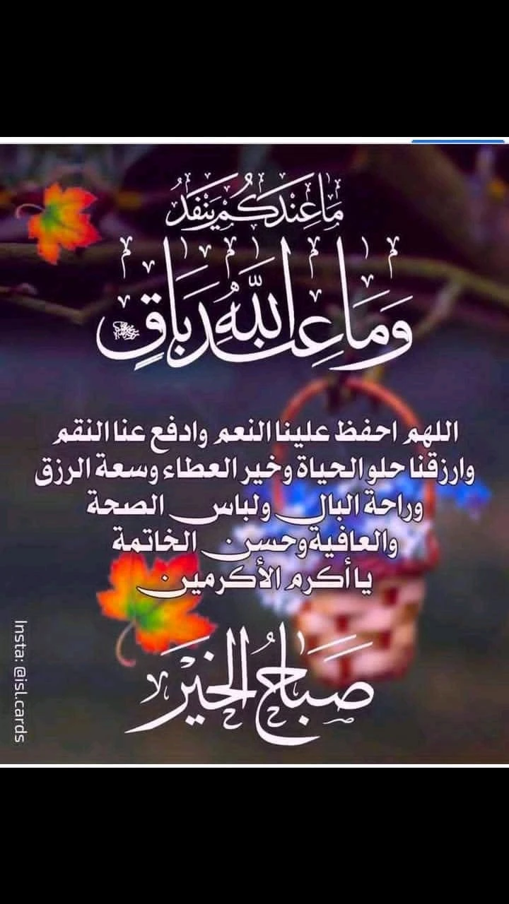 محمد ابو عمر