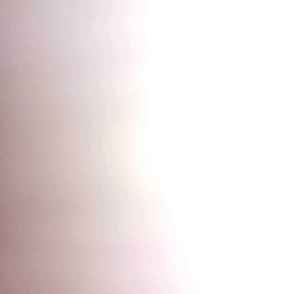الحافظ
