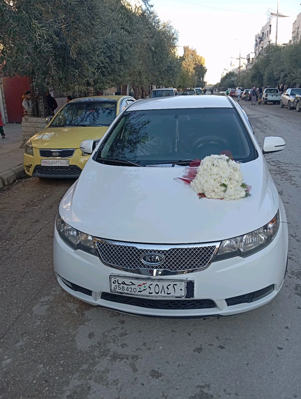 مصعب القدور