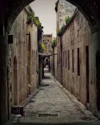 عبد الحميد الحمو