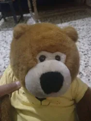 حامد