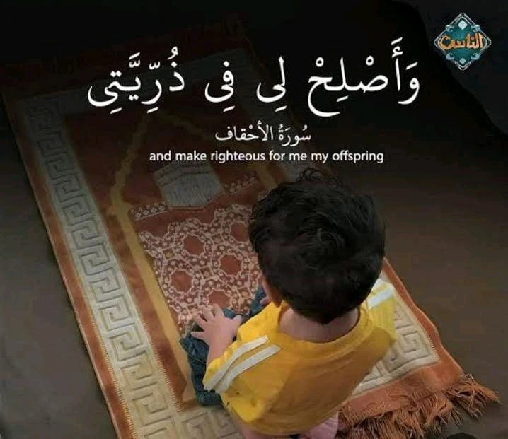 ميفان