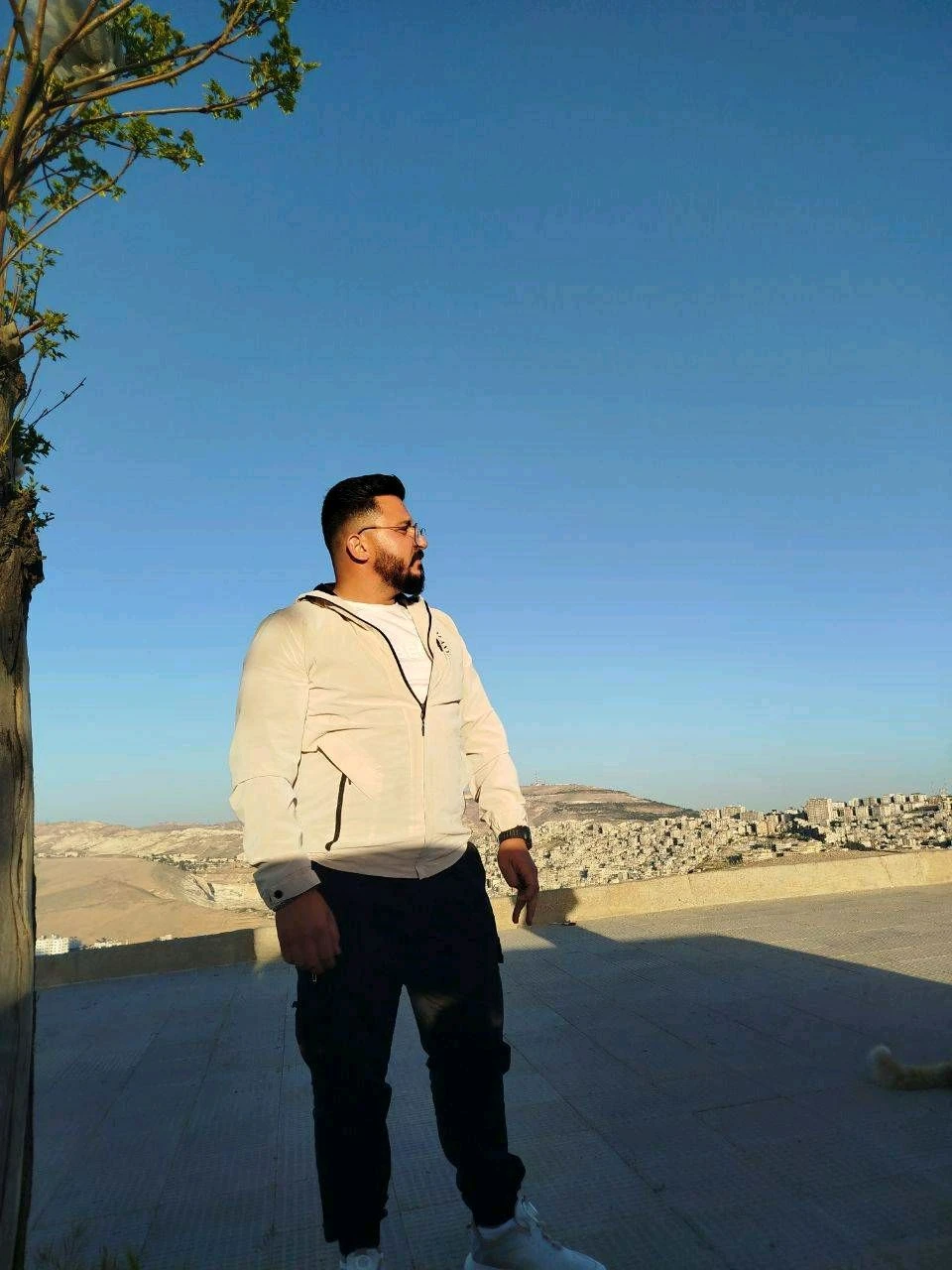 محمود الرز