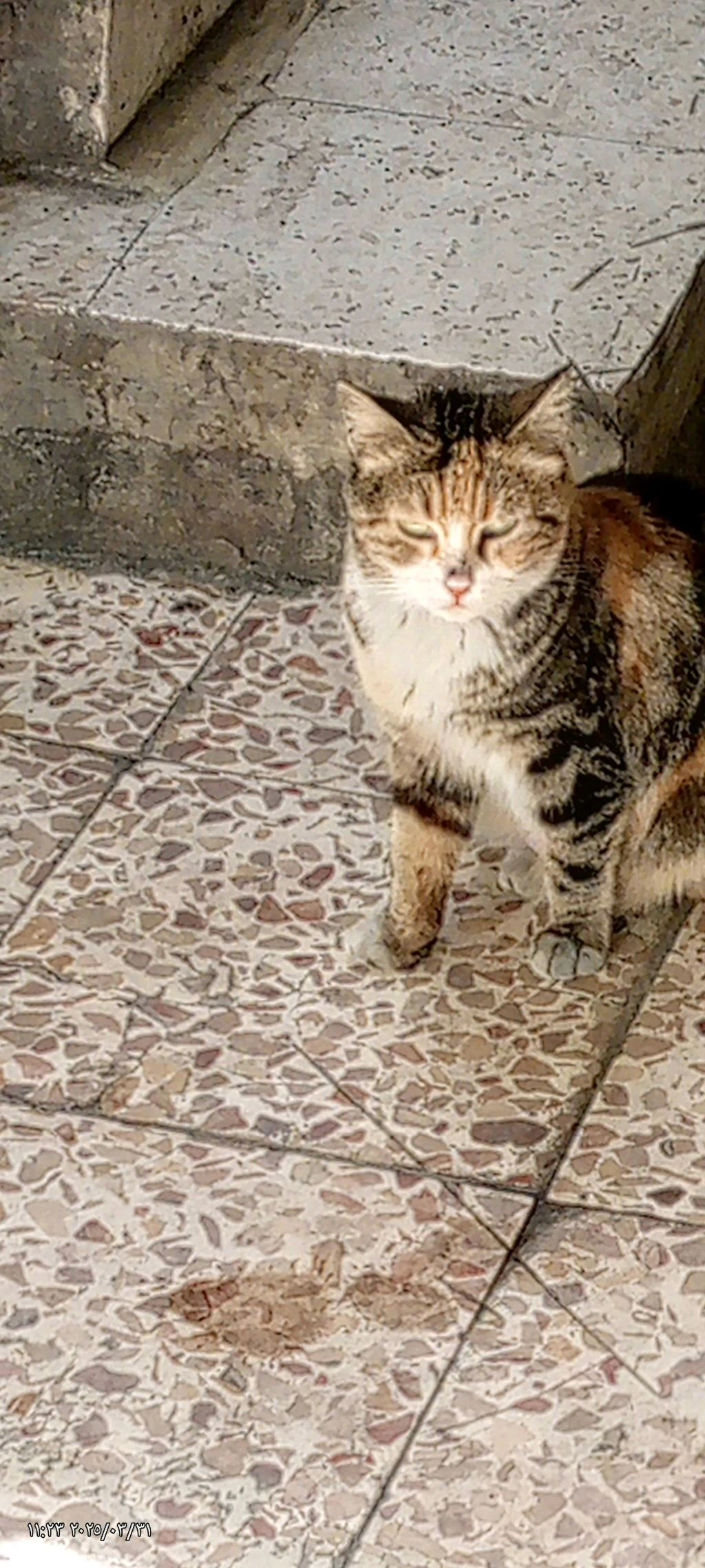 عامل خياطة حبكة